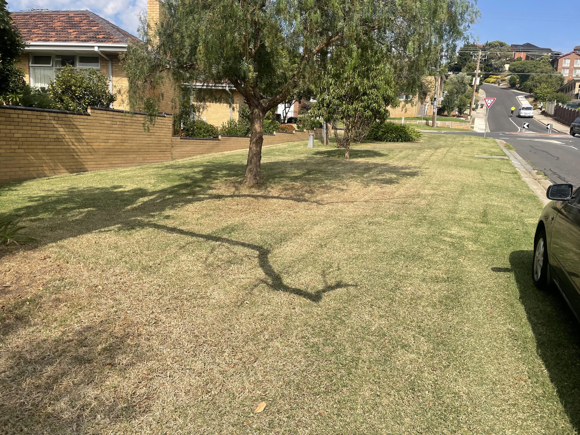GMC Garden Project 37