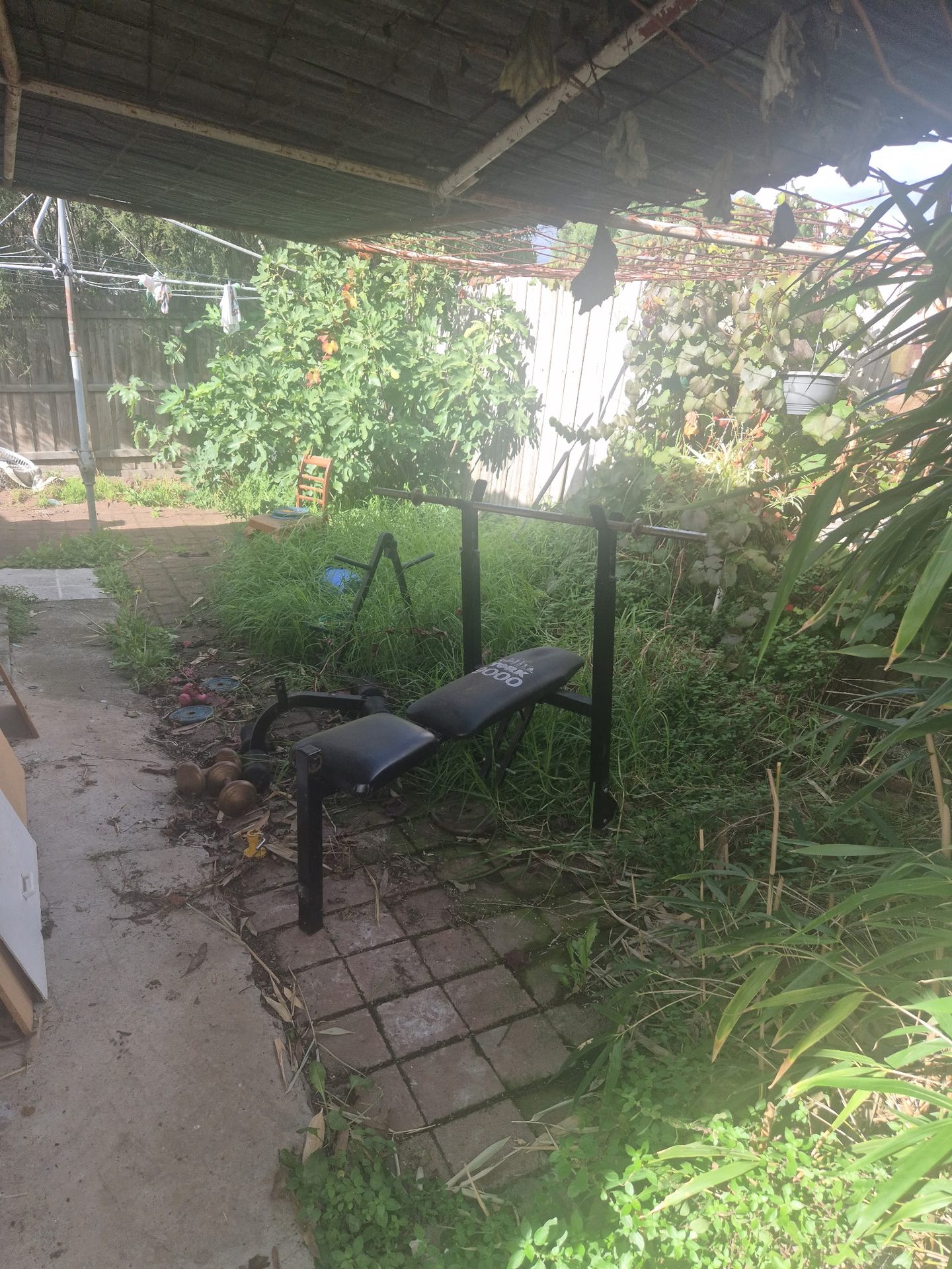 GMC Garden Project 2