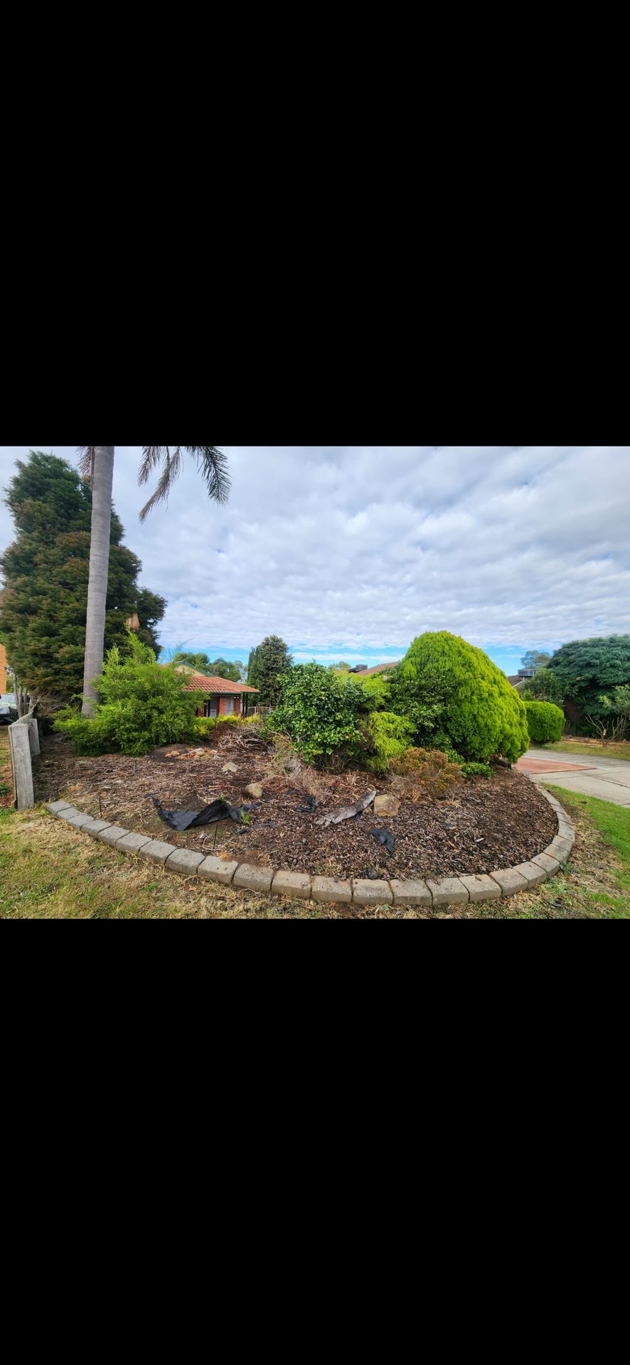 GMC Garden Project 24
